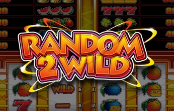 Online casino spel van Stakelogic met de naam Random 2 Wild