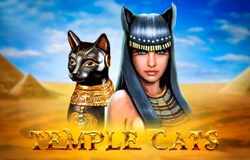 Videoslot Temple Cats van ontwikkelaar Endorphina online spelen